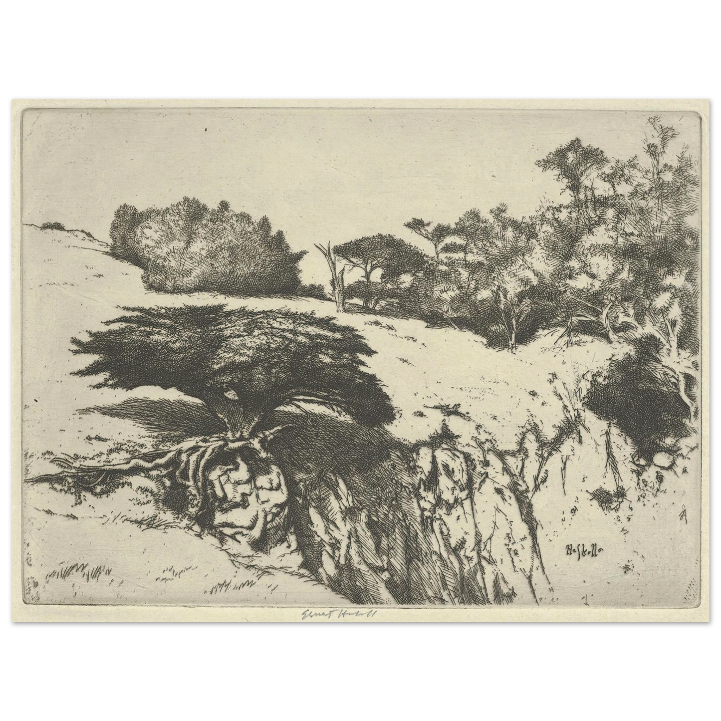 300d0ebe-e001-4440-836a-f88aa0fd3e49